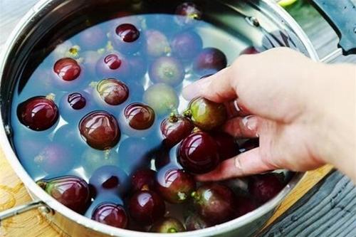 自制葡萄酒的正确方法,自制葡萄酒去甲醇最好方法