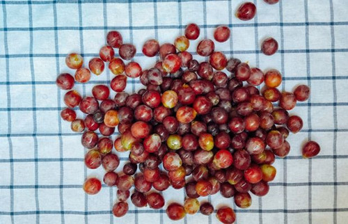 自制葡萄酒的正确方法,自制葡萄酒去甲醇最好方法