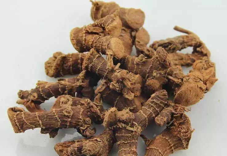 香叶能去除香辛料异味吗,哪些香料能激发食材的原有香味