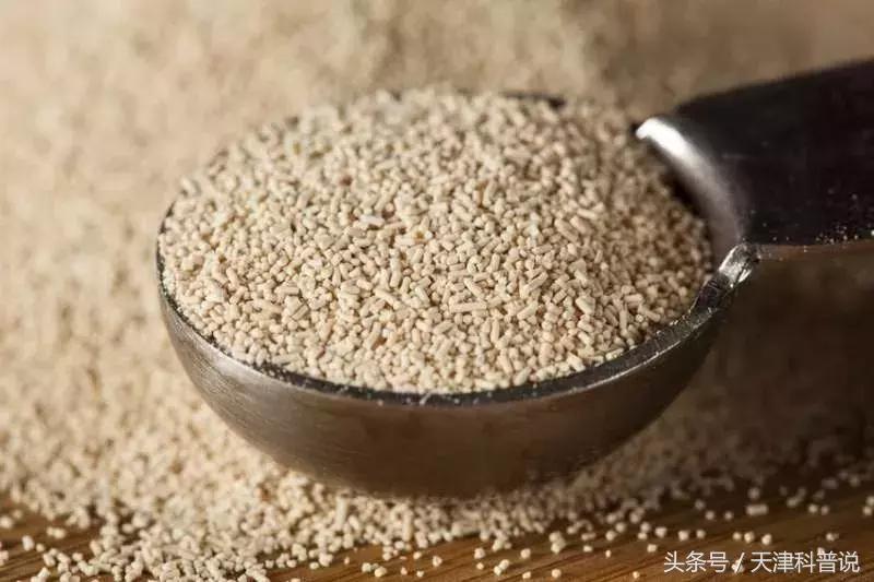 葡萄酒82年拉菲多少价位一瓶,82年拉菲是什么葡萄酒