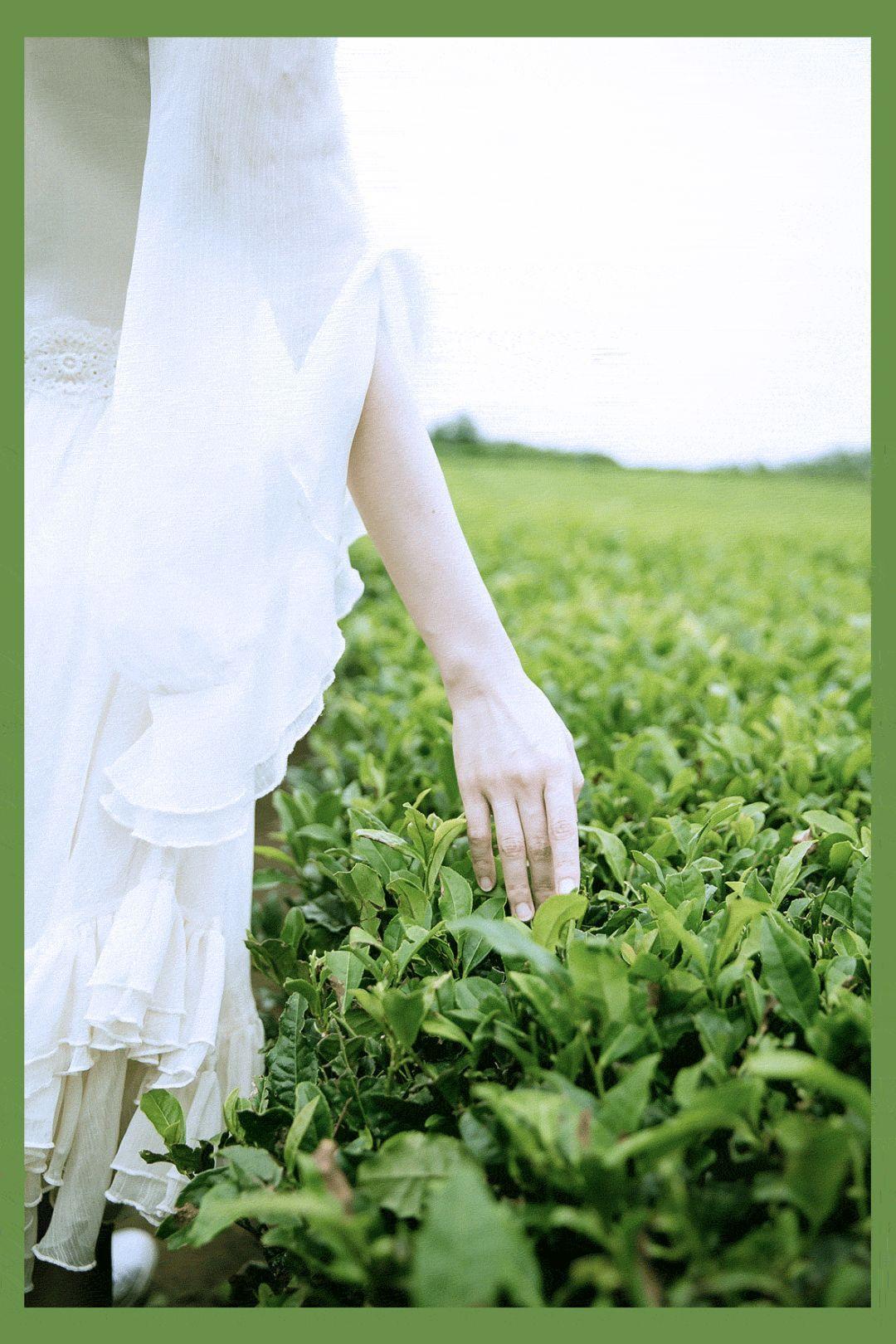 济州岛出游攻略视频大全,济州岛旅行避坑攻略最新