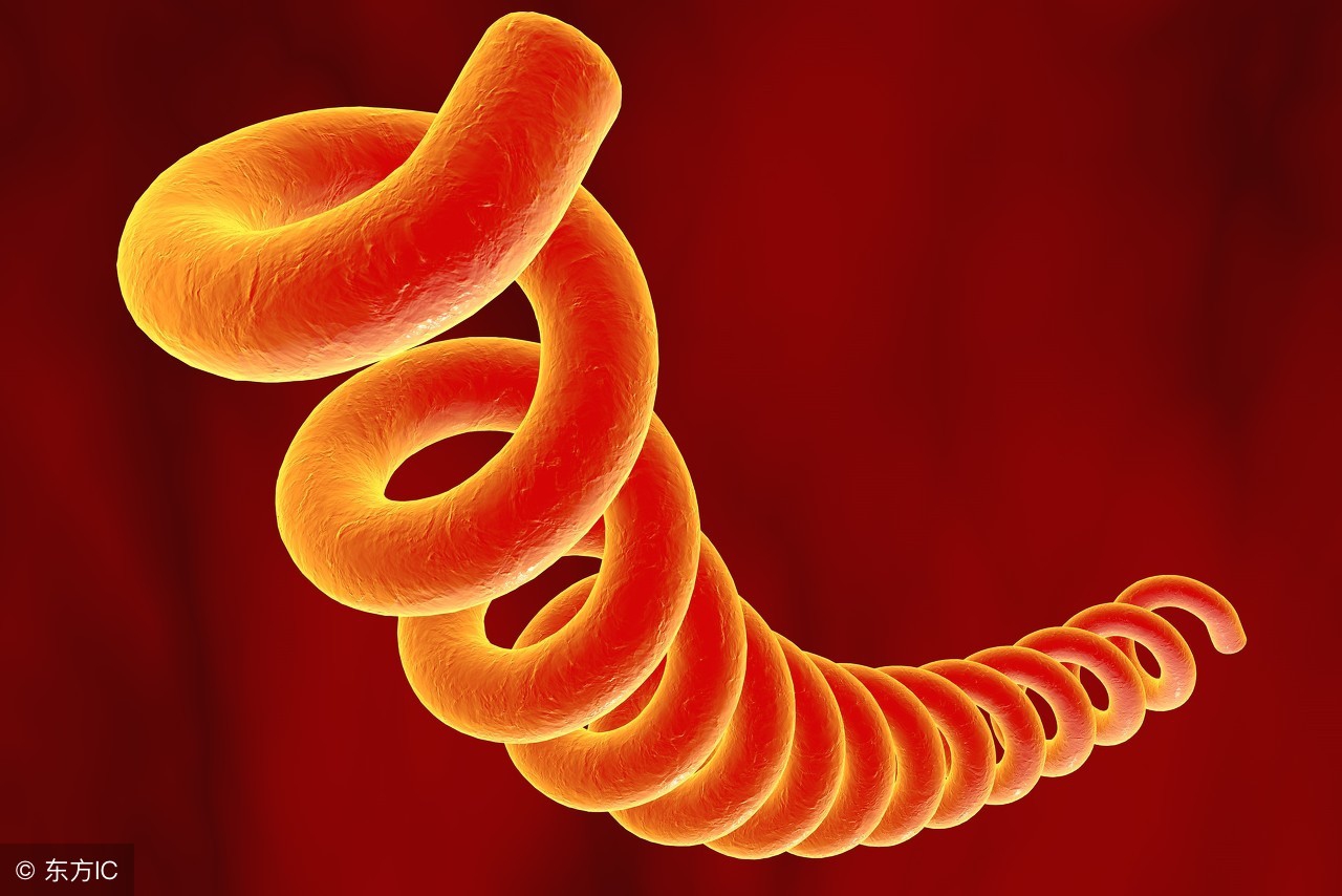 梅毒身上出现红点严重吗,梅毒多久能引起身上起红点