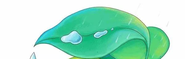 mark谈工作,mark进公司时间