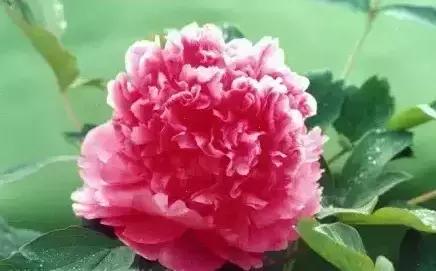 8.8发财日的祝福,8月18日发财日早安祝福图片