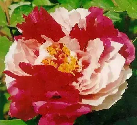 8.8发财日的祝福,8月18日发财日早安祝福图片