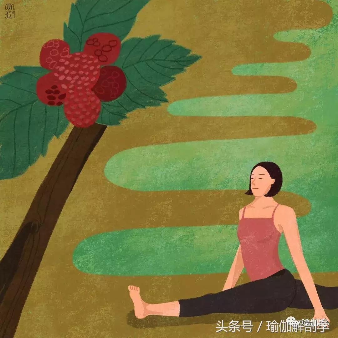 瑜伽练习中的九大陷阱注意避免,初学瑜伽的5大禁忌