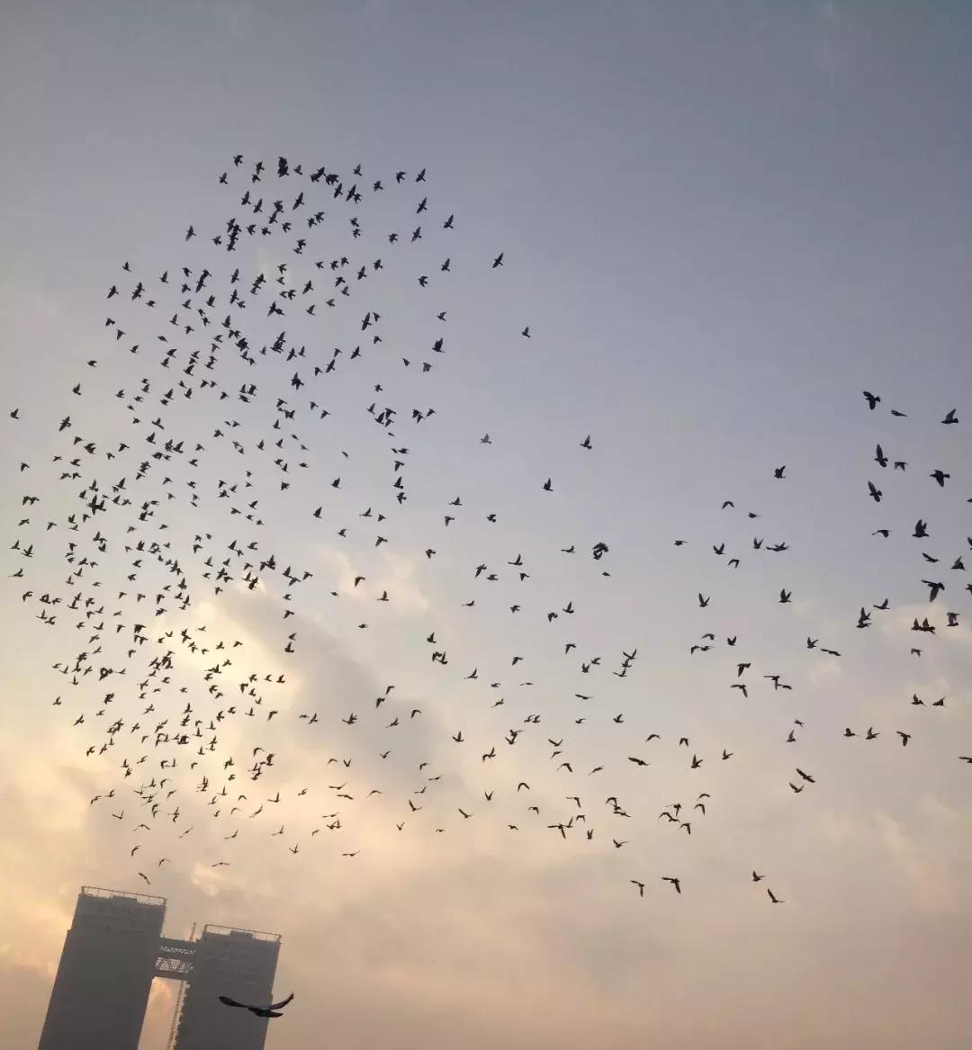 今天好多人将“跃入”瓜渚湖!他们要……快跟着一起“动起来”!