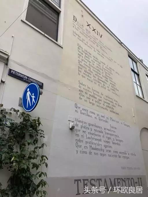 满城书香,如果”姿势“不够,你都不敢轻易来这座荷兰小城!