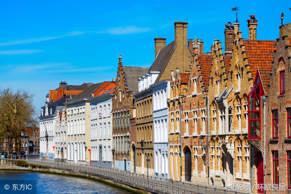 满城书香,如果”姿势“不够,你都不敢轻易来这座荷兰小城!