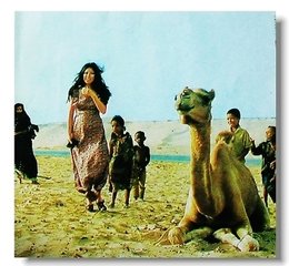 才女三毛异于常人的一生,三毛张爱玲散文