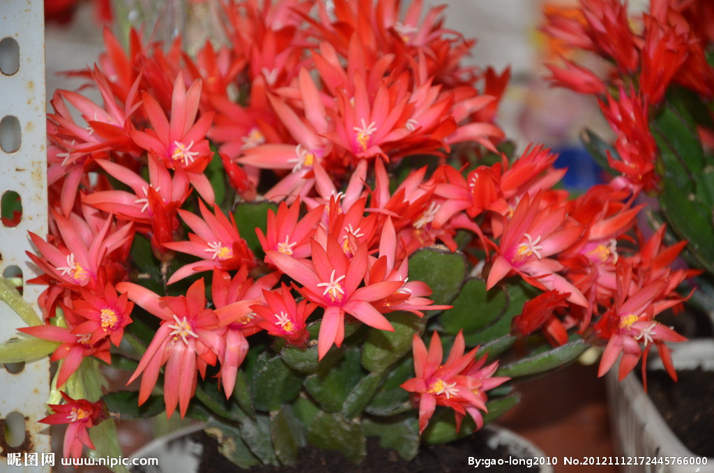 男生祝我幸福,男孩祝心爱的女孩幸福