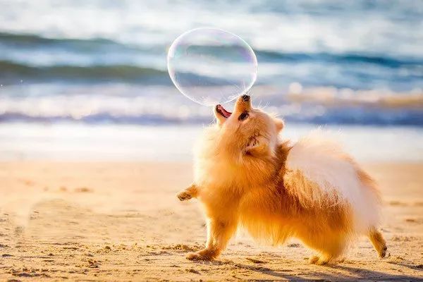 hellokitty抓娃娃机,hellokitty乐园抓娃娃机