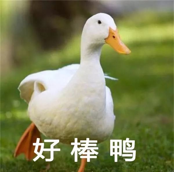 空调应该怎么用才省电,空调如何使用才更省电