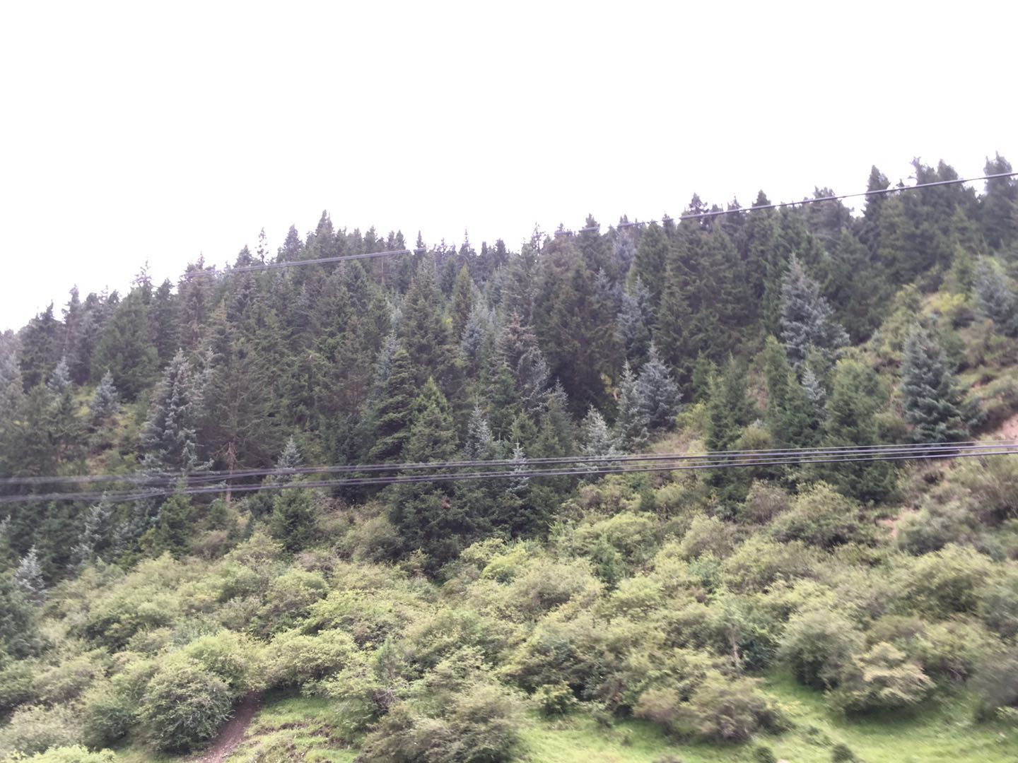 80岁老夫妻自驾游世界各地,湖南80后夫妻自驾环游全国