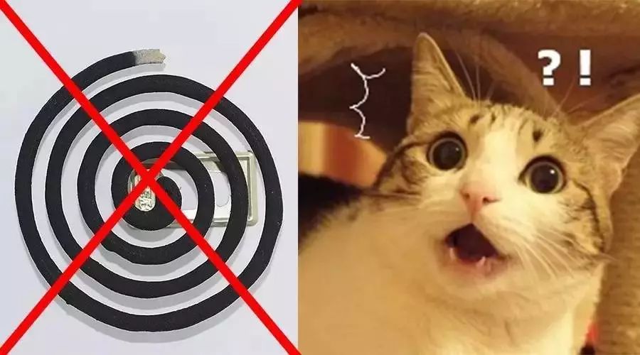 所谓的超声波物理驱蚊器有用吗,激光炮怎么驱蚊最有效