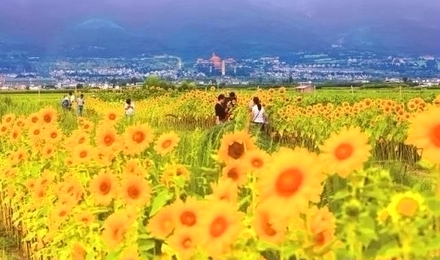 大理适合青少年玩的地方,大理好耍的推荐