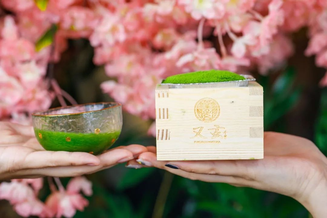 全城通缉抹茶控！来自京都の它霸气轰炸和平大悦城！被绿了也心甘