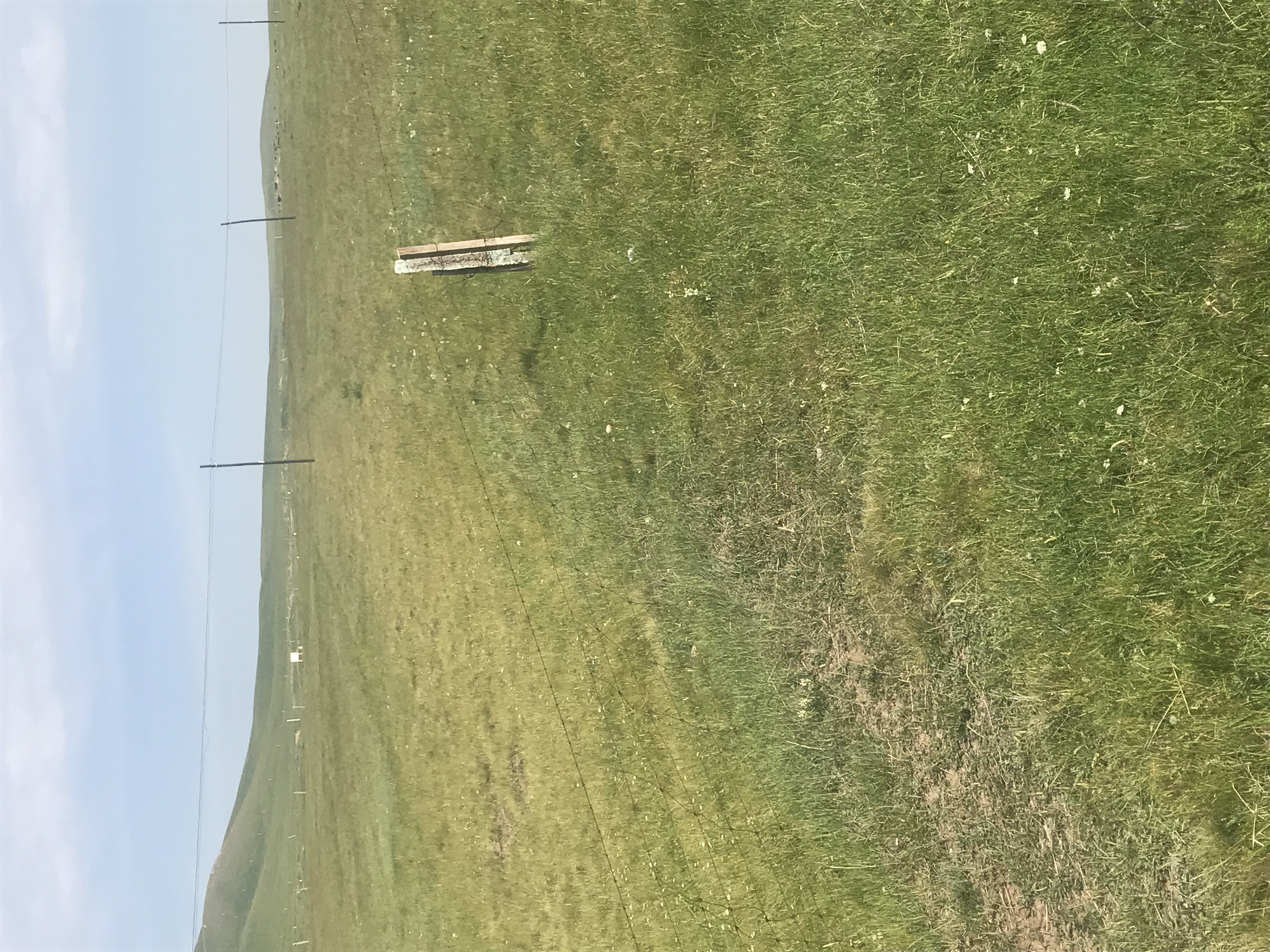 刚到高原是不是要少喝水,初到高原吃些什么好