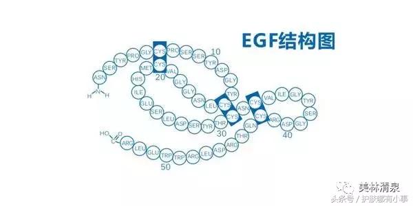 德妃紫苏水中的成分,德妃紫苏水乳到底是保湿还是控油