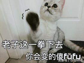 冷少直播夸大舅子,冷少和大舅子是什么梗