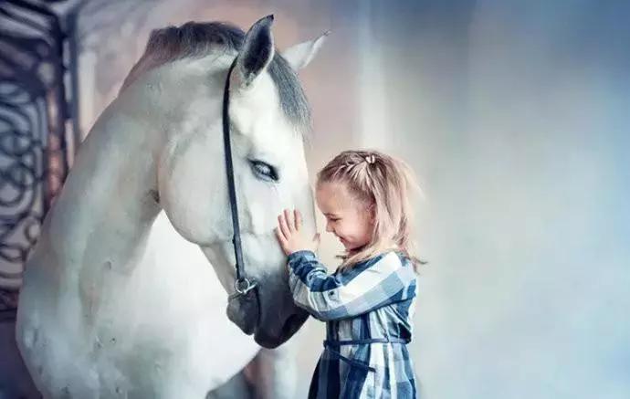 万达公馆高端,万达公馆深度解析