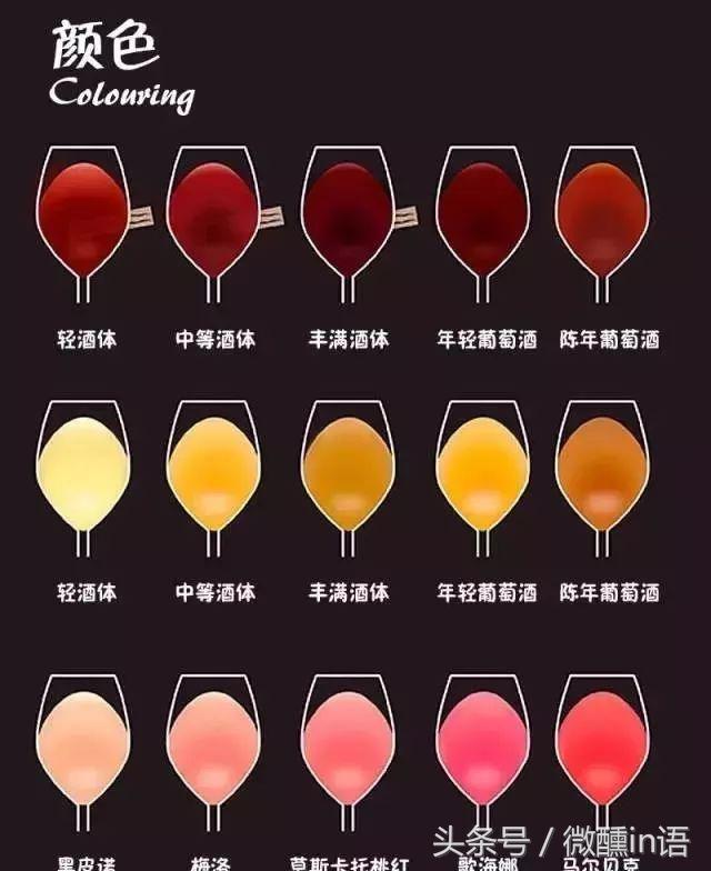 最全红酒小知识,红酒知识品酒的讲究