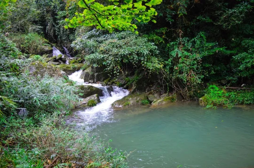 德阳周边玩水避暑民宿,德阳附近哪里有凉快又好玩的地方