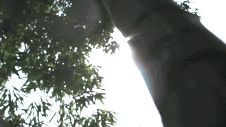 德阳周边玩水避暑民宿,德阳附近哪里有凉快又好玩的地方