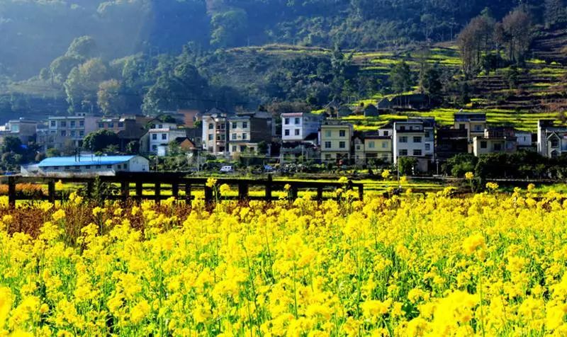 品读不思量自难忘,品读平淡