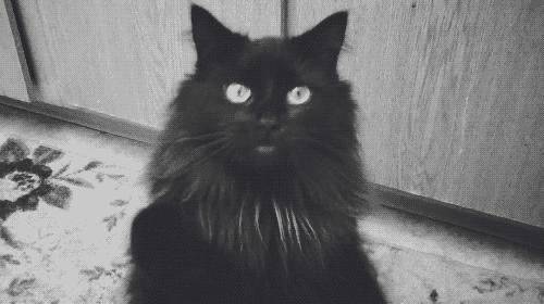 你享受过免费叫醒服务吗,你享受过免费的叫醒服务吗