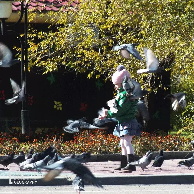 从满洲里去蒙古旅游攻略,从满洲里出发游呼伦贝尔