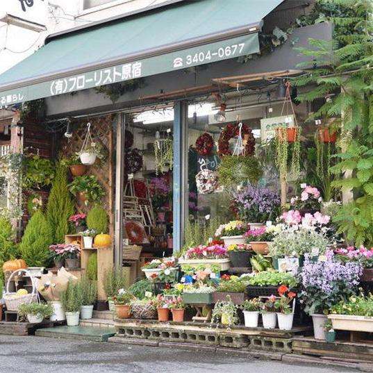 适合女性创业的店的名字,适合女性创业的十种店