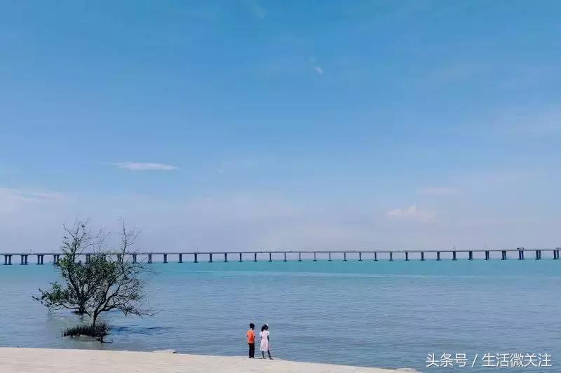 深圳拍照圣地推荐,拍照圣地深圳风景