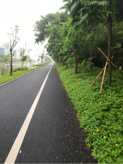 北漂定居武汉的码农,北漂码农