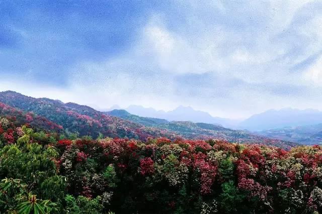 我国内地212个5a景区全在这里,带你看遍全中国的5a景区