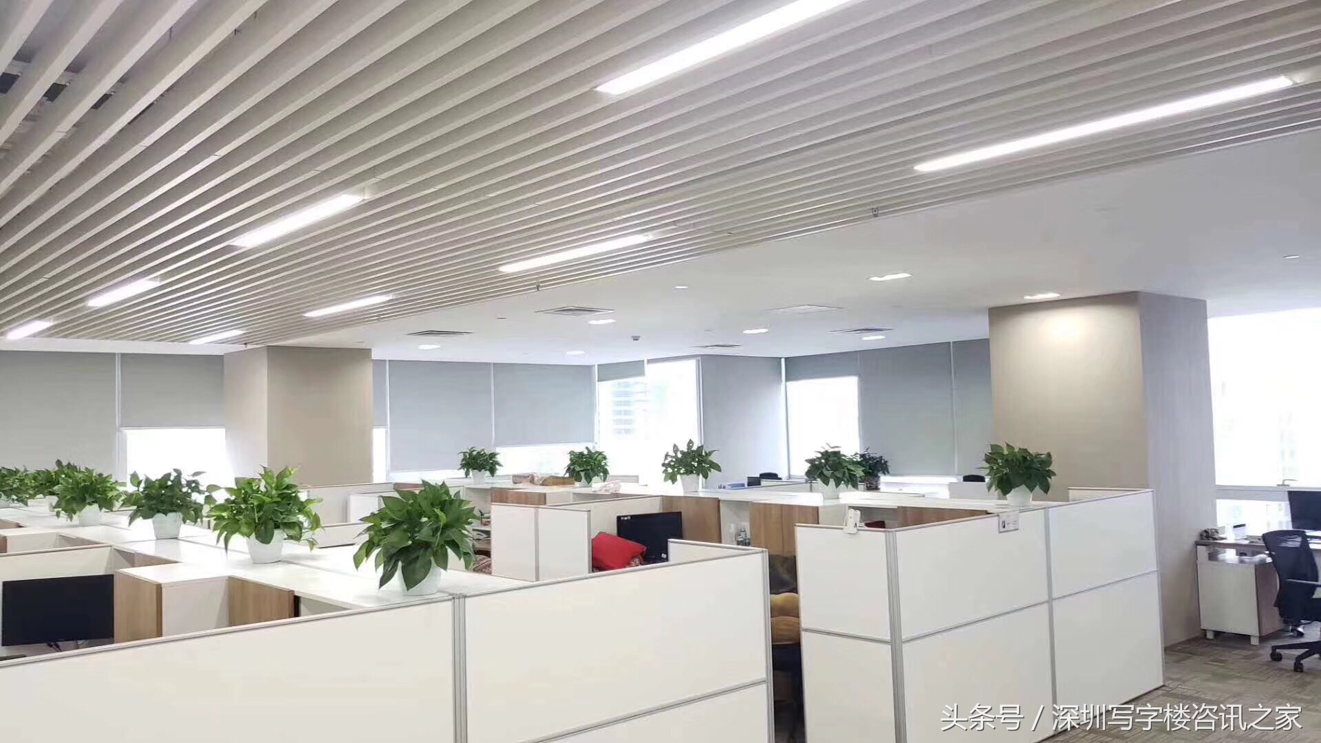 每日精装房屋推荐,每日房源特价出售