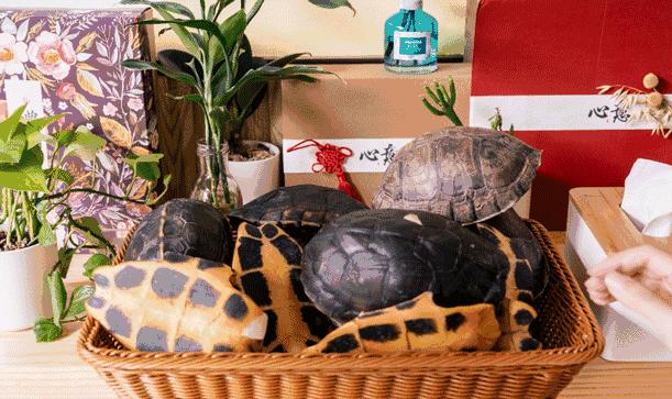 顺德正宗龟苓膏的做法视频,佛山正宗龟苓膏