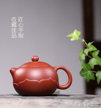 紫砂壶表面黑点,红泥紫砂壶表面有黑点