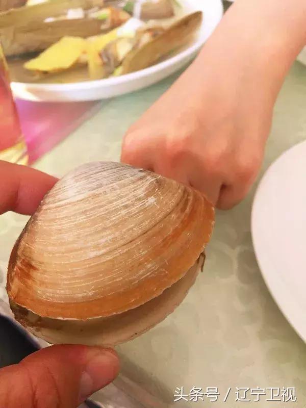 大美广鹿岛打卡风物辽宁，暑期滨海季再度来袭！