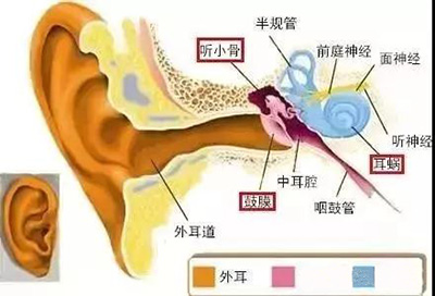 早上睡醒耳朵里有水是怎么回事,耳朵感觉有水但是干的怎么回事