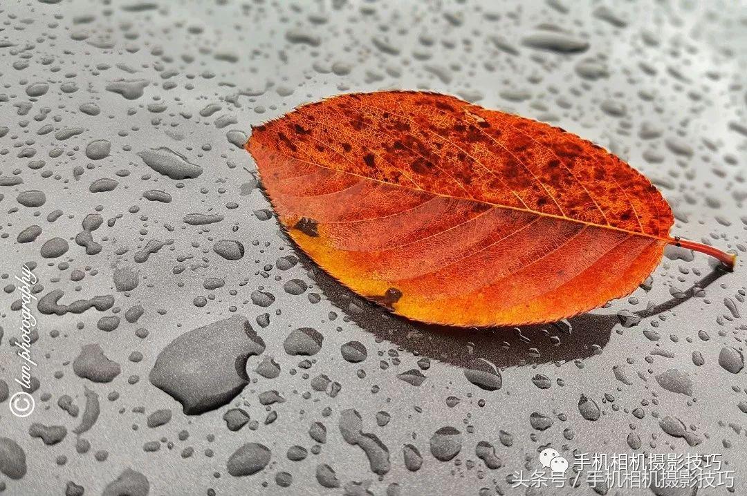 普通人如何拍有意思的视频,生活中可以拍哪些有趣的视频