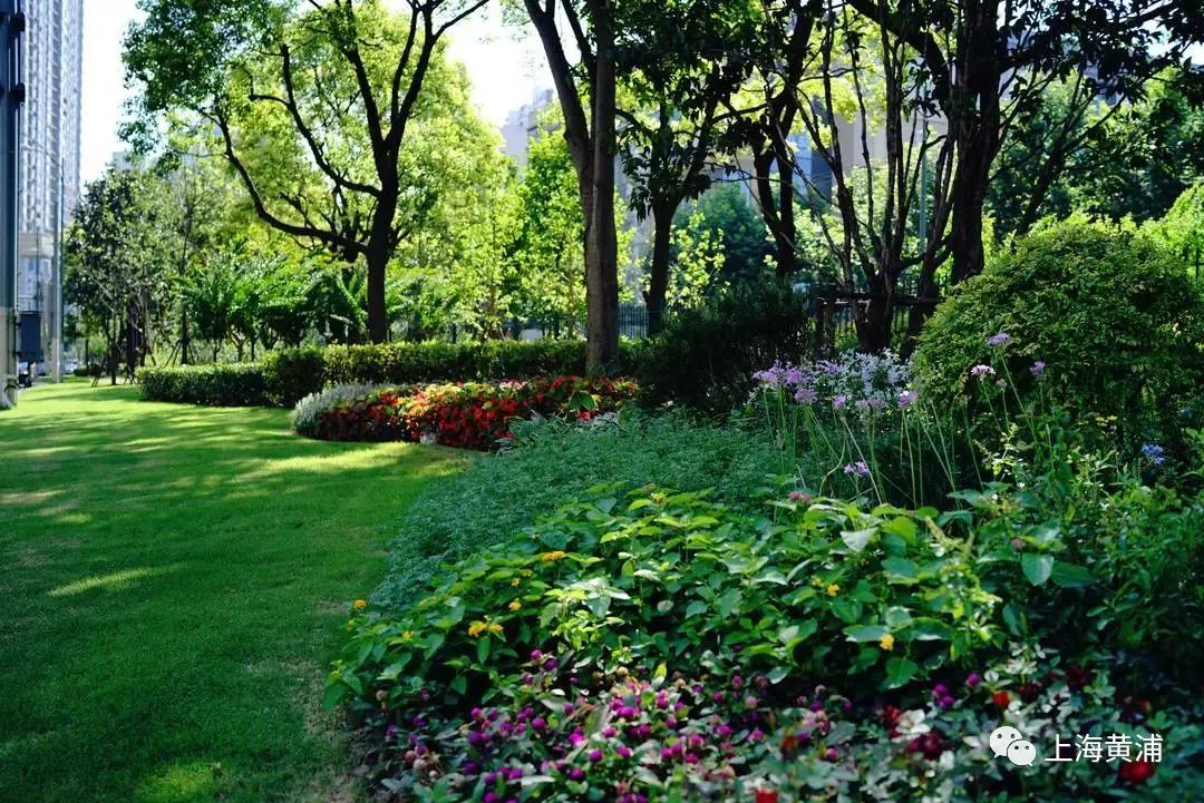 臭水浜变成了林荫道,《从臭水浜到林荫道》小学课文