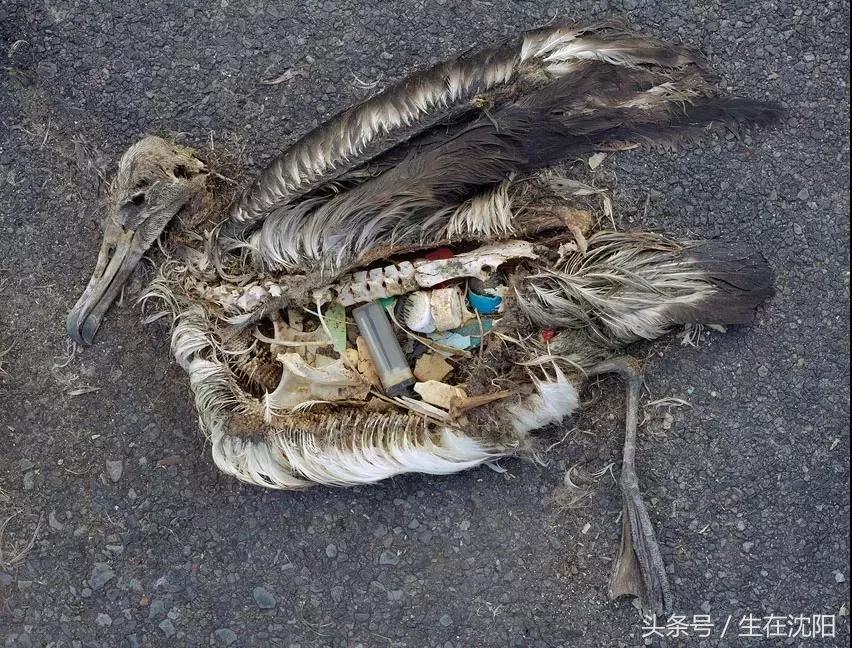 危言耸听的事,危言耸听的科普