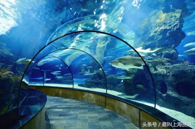 上海地名八级考试，看看你能答到第几级？