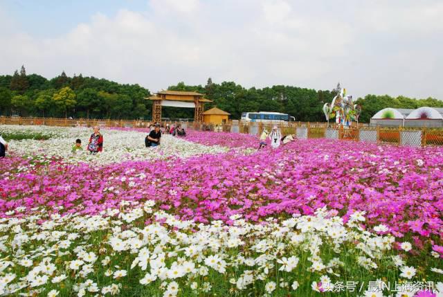 上海地名八级考试，看看你能答到第几级？