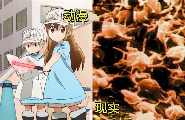 涨姿势动画,涨姿势动漫