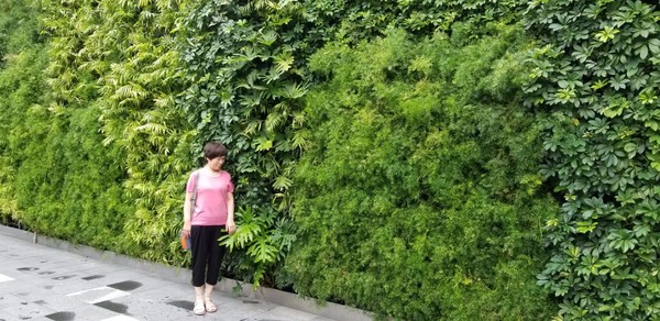 带着爸妈自由行攻略,带父母和孩子成都怎么玩