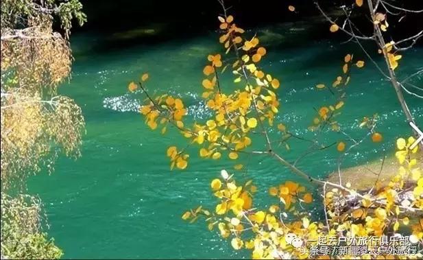 *疆新**人民又过年了—古尔邦节可可托海观光福海鱼宴3日美食休闲游