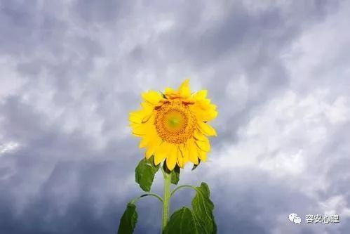 为什么别人要挑拨我的人际关系呢,为什么有些人在背后喜欢挑拨离间