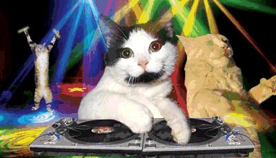 拒绝气味相投，这5款神级小*香众**水，才是仙女必备~